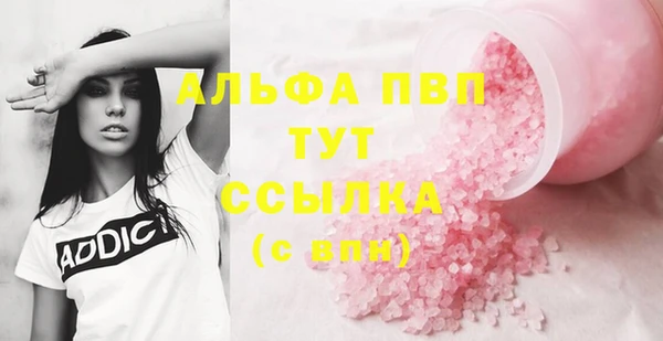 эйфоретик Арсеньев