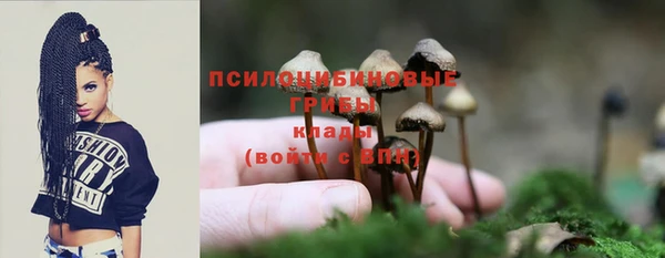 эйфоретик Арсеньев