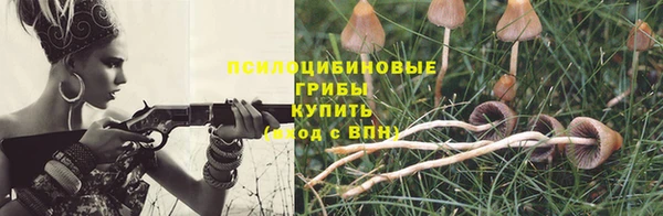 эйфоретик Арсеньев