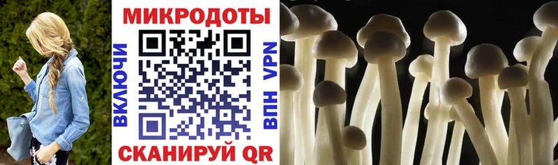 где можно купить   Полесск  Галлюциногенные грибы мухоморы 
